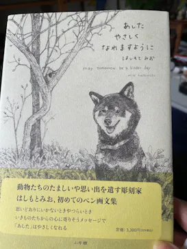 はしもとみお木彫展 いきものたちとの旅（氷見市芸術文化館）に投稿された画像（2026/5/24）
