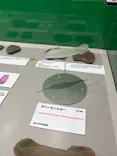 大絶滅展ー生命史のビッグファイブ（名古屋会場）に投稿された画像（2026/5/24）
