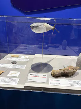 大絶滅展ー生命史のビッグファイブ（名古屋会場）に投稿された画像（2026/5/24）