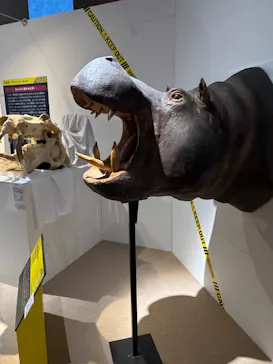 特別展「超危険生物展　科学で挑む生き物の本気」に投稿された画像（2026/5/24）