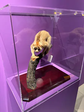 特別展「超危険生物展　科学で挑む生き物の本気」に投稿された画像（2026/5/24）