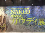 NAKED meets ガウディ展【大阪】に投稿された画像（2026/5/24）