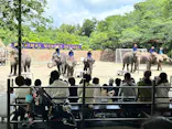 ANIMAL WONDER REZOURT 市原ぞうの国・サユリワールドに投稿された画像（2026/5/24）
