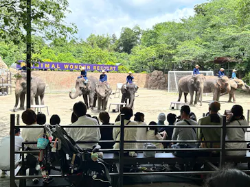 ANIMAL WONDER REZOURT 市原ぞうの国・サユリワールドに投稿された画像（2026/5/24）