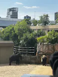天王寺動物園に投稿された画像（2026/5/24）