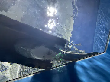 滋賀県立琵琶湖博物館に投稿された画像（2026/5/24）