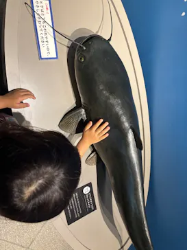 滋賀県立琵琶湖博物館に投稿された画像（2026/5/24）
