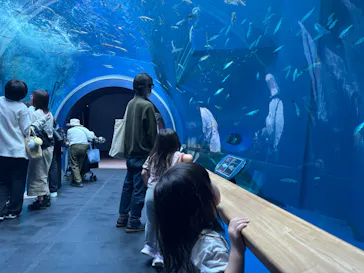滋賀県立琵琶湖博物館に投稿された画像（2026/5/24）