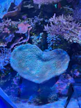 名古屋港水族館に投稿された画像（2026/5/24）
