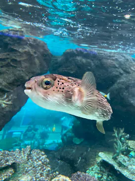 名古屋港水族館に投稿された画像（2026/5/24）