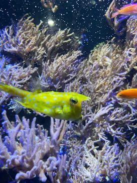 名古屋港水族館に投稿された画像（2026/5/24）