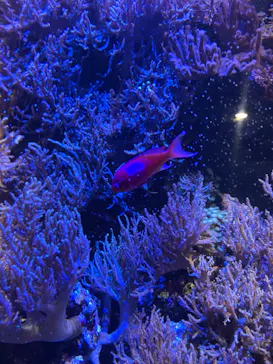 名古屋港水族館に投稿された画像（2026/5/24）