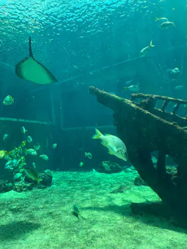 箱根園水族館に投稿された画像（2026/5/24）