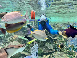名古屋港水族館に投稿された画像（2026/5/24）
