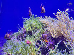 名古屋港水族館に投稿された画像（2026/5/24）