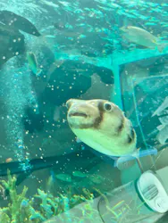 名古屋港水族館に投稿された画像（2026/5/24）