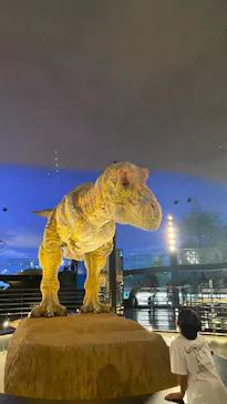 福井県立恐竜博物館に投稿された画像（2026/5/24）