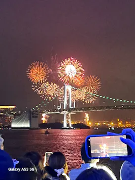 東京湾夜景クルーズ＜横浜港→東京（竹芝桟橋）＞に投稿された画像（2026/5/24）