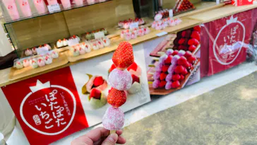 札幌ストロベリーフェスティバル2026に投稿された画像（2026/5/24）