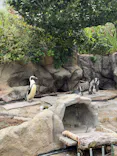 サンシャイン水族館に投稿された画像（2026/5/24）