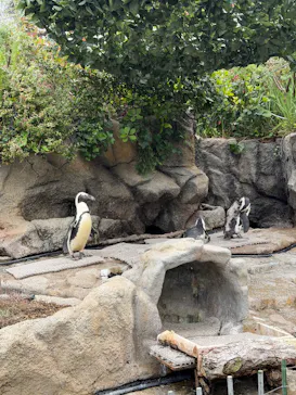 サンシャイン水族館に投稿された画像（2026/5/24）
