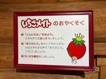 山梨いちごの王さまミュージアムに投稿された画像（2026/5/24）