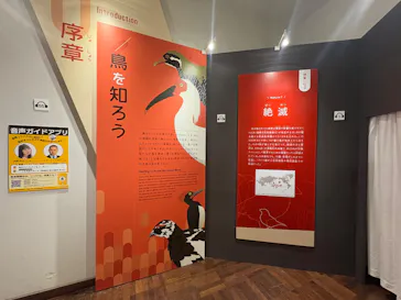 特別展「鳥 ～ゲノム解析が解き明かす新しい鳥類の系統～」に投稿された画像（2026/5/24）