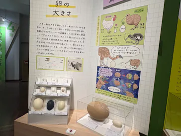 特別展「鳥 ～ゲノム解析が解き明かす新しい鳥類の系統～」に投稿された画像（2026/5/24）