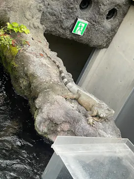 栃木県なかがわ水遊園に投稿された画像（2026/5/24）