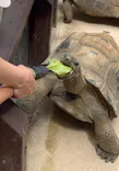 世界淡水魚園水族館　アクア・トトぎふに投稿された画像（2026/5/24）