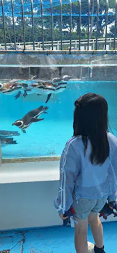 のとじま水族館に投稿された画像（2026/5/24）