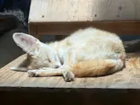 伊豆シャボテン動物公園に投稿された画像（2026/5/24）