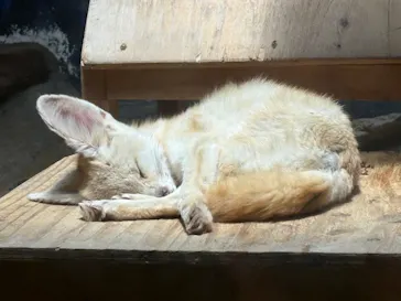 伊豆シャボテン動物公園に投稿された画像（2026/5/24）