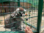 しろとり動物園に投稿された画像（2026/5/24）