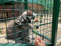しろとり動物園に投稿された画像（2026/5/24）