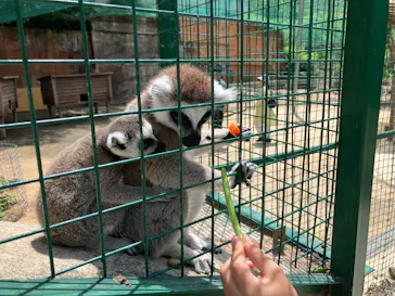 しろとり動物園に投稿された画像（2026/5/24）