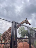 こども動物自然公園（埼玉県公園緑地協会）に投稿された画像（2026/5/24）