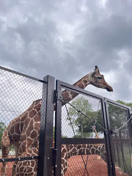 こども動物自然公園（埼玉県公園緑地協会）に投稿された画像（2026/5/24）