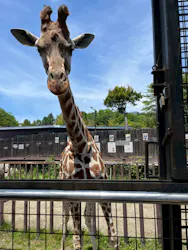 那須サファリパークに投稿された画像（2026/5/24）
