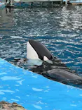 名古屋港水族館に投稿された画像（2026/5/24）