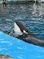 名古屋港水族館に投稿された画像（2026/5/24）