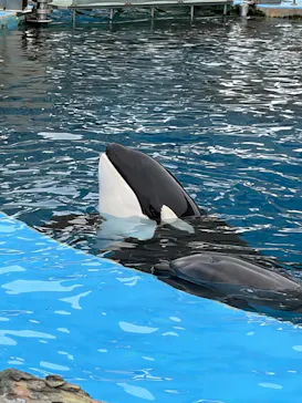 名古屋港水族館に投稿された画像（2026/5/24）