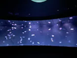 サンシャイン水族館に投稿された画像（2026/5/24）