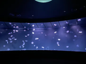 サンシャイン水族館に投稿された画像（2026/5/24）