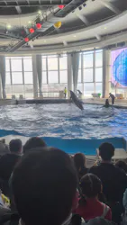 アクアワールド茨城県大洗水族館に投稿された画像（2026/5/24）