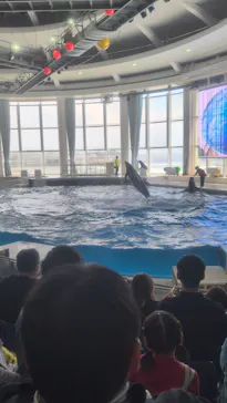 アクアワールド茨城県大洗水族館に投稿された画像（2026/5/24）