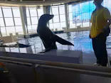 アクアワールド茨城県大洗水族館に投稿された画像（2026/5/24）