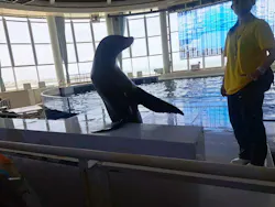 アクアワールド茨城県大洗水族館に投稿された画像（2026/5/24）