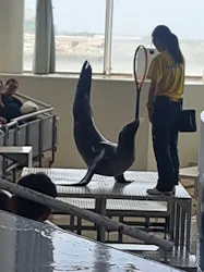 アクアワールド茨城県大洗水族館に投稿された画像（2026/5/24）