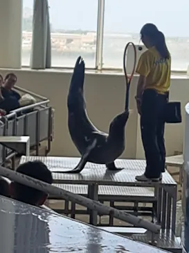 アクアワールド茨城県大洗水族館に投稿された画像（2026/5/24）